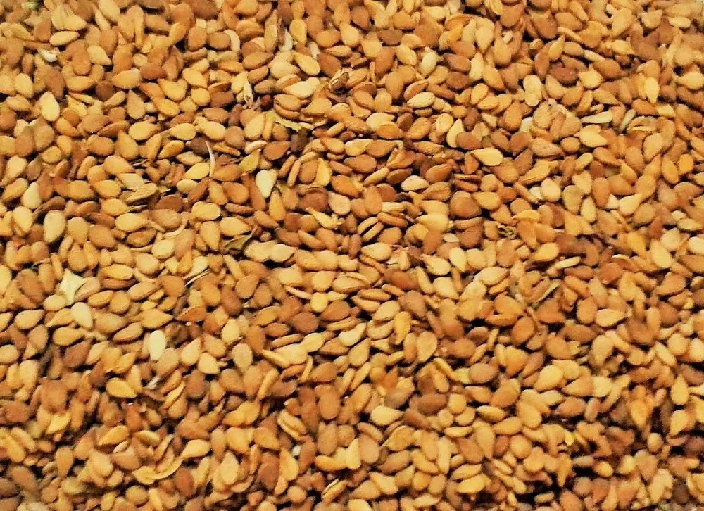 Sudan Natural Brown Sesame Seeds Buy Sesame Seed,Sesame Seed Price