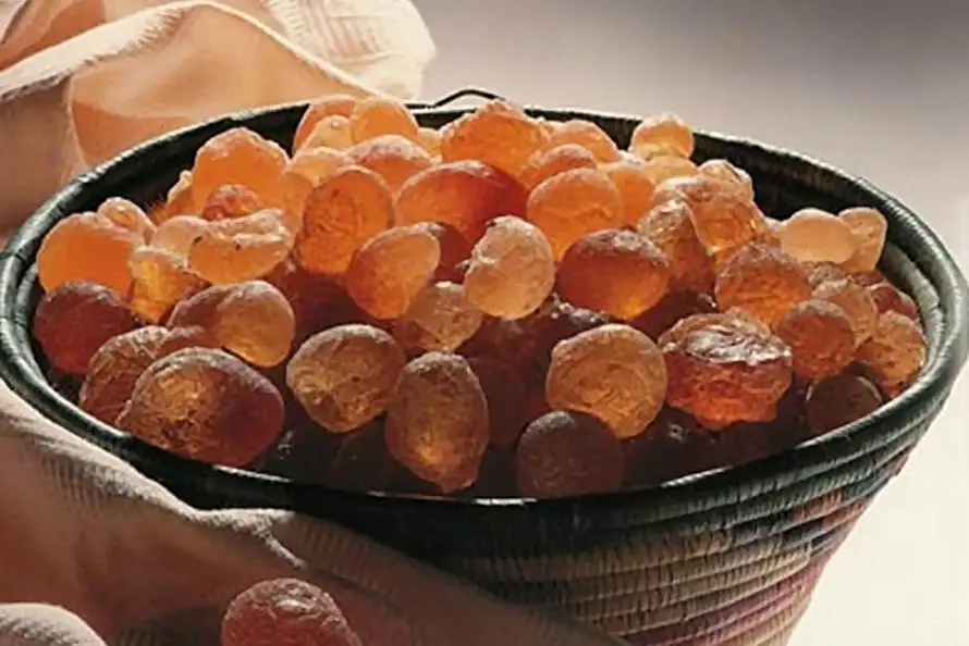 gum arabic