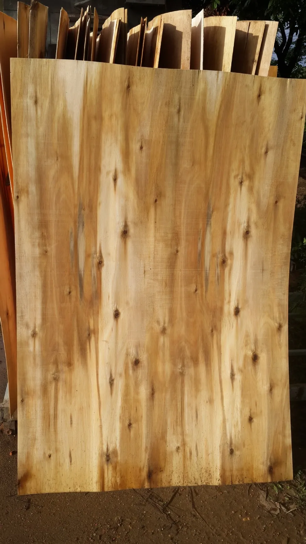 Hoa Nam Acacia Core Veneer Buy Core Veneer,Face Veneer,Rubber Acacia