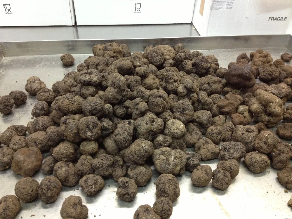 Fresh French Truffles