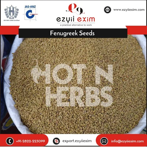 in year 2012-13, total fenugreek production was 130,000 tonnes