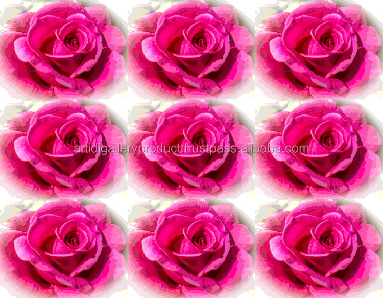 australia canvas prints gallery