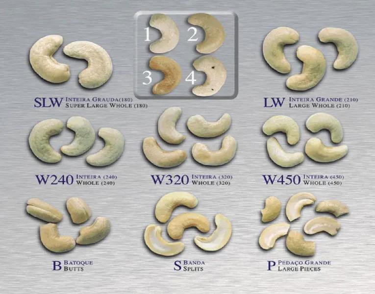 Vietnam Cashew Nuts/ Cashew Kernels/ Ww320/450/240/sw/bw/lbw/lp/sp
