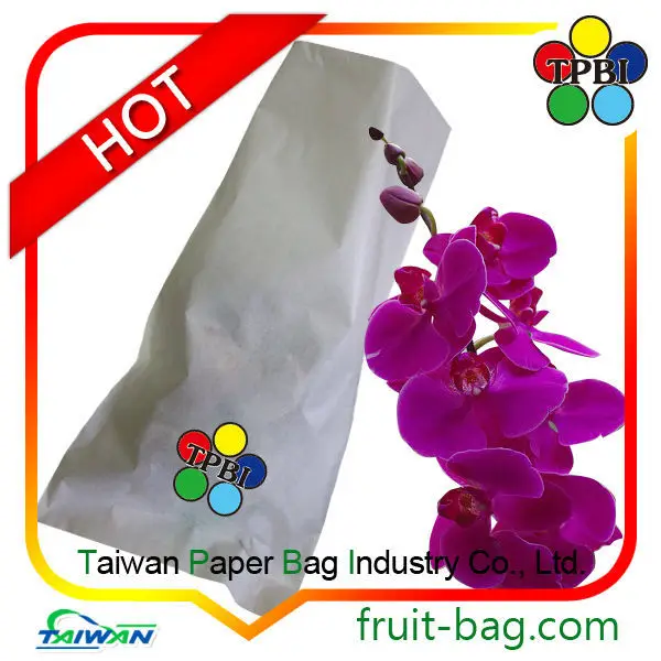ゴレンシ台湾スターフルーツホワイトペーパーの袋、 台湾averrhoaゴレンシの紙袋仕入れ・メーカー・工場