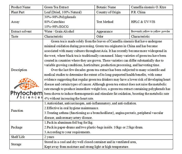 Hot sale matcha green tea extract/Camellia Sinensis O. Ktze. extract/30%~98% Polyphenols 10%~98% EGCG 80% Catechins/Lv Cha