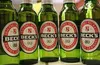 Dutch Premium Lager Beer 330ml Bottles