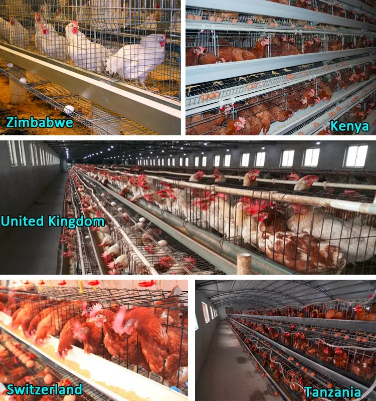 China Factory Manufacture Hot Sale chicken cage for sale in kerala