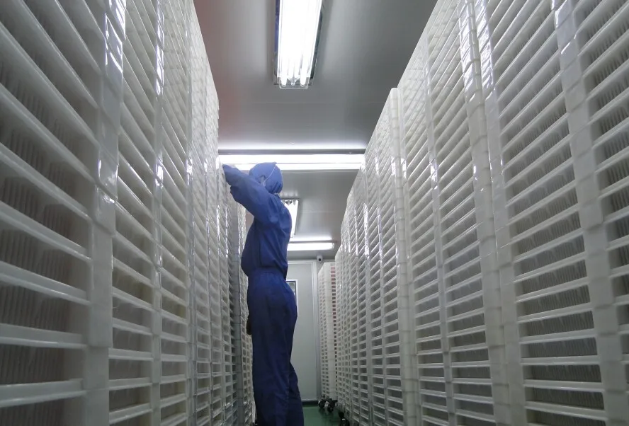 Megio Bio-Tech Workshop drying room