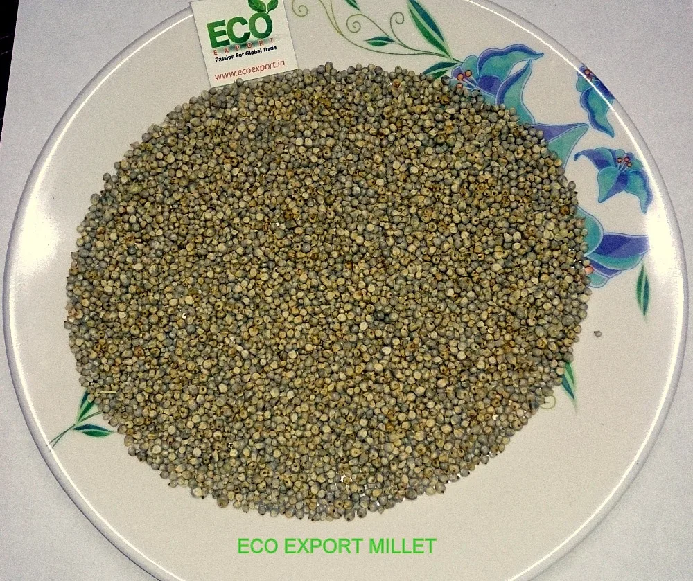 bajra exporter in delhi - buy green millet supplier,millet