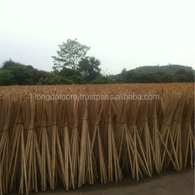 vietnam wood log with cheap price