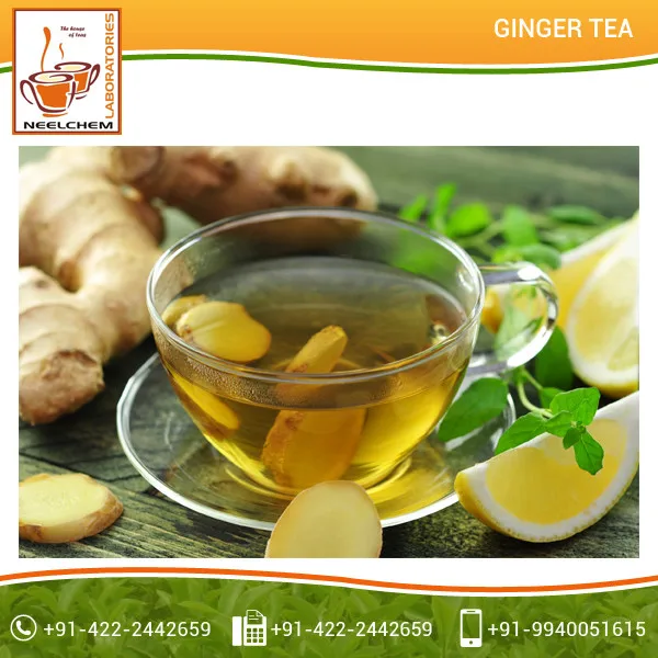 High Quality Premium Ginger Tea with Real Taste for Sale High Quality Premium Ginger Tea with Real Taste for Sale