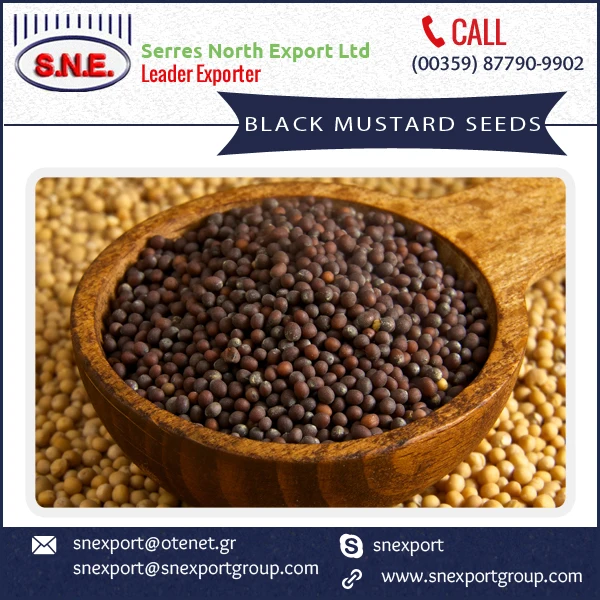 black mustard seeds