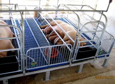 pig farrowing pen.jpg