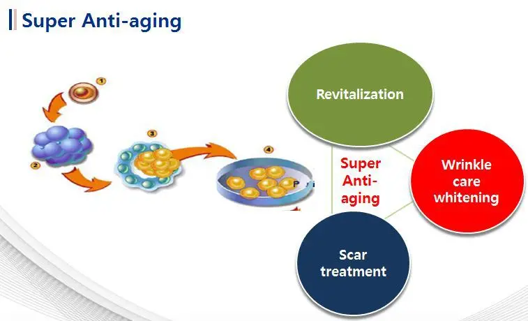 stem cell revolve serum placenta egf stem cell serum buy stem cell revolve serum placenta egf stem cell serum buy