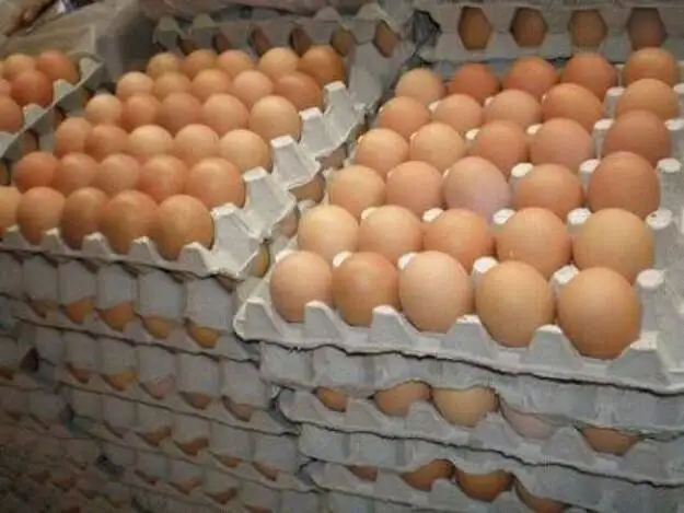 Farm fresh eggs