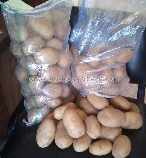 egypt supplier fresh potato price per ton