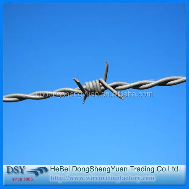 Barbed Iron Wire (5).jpg