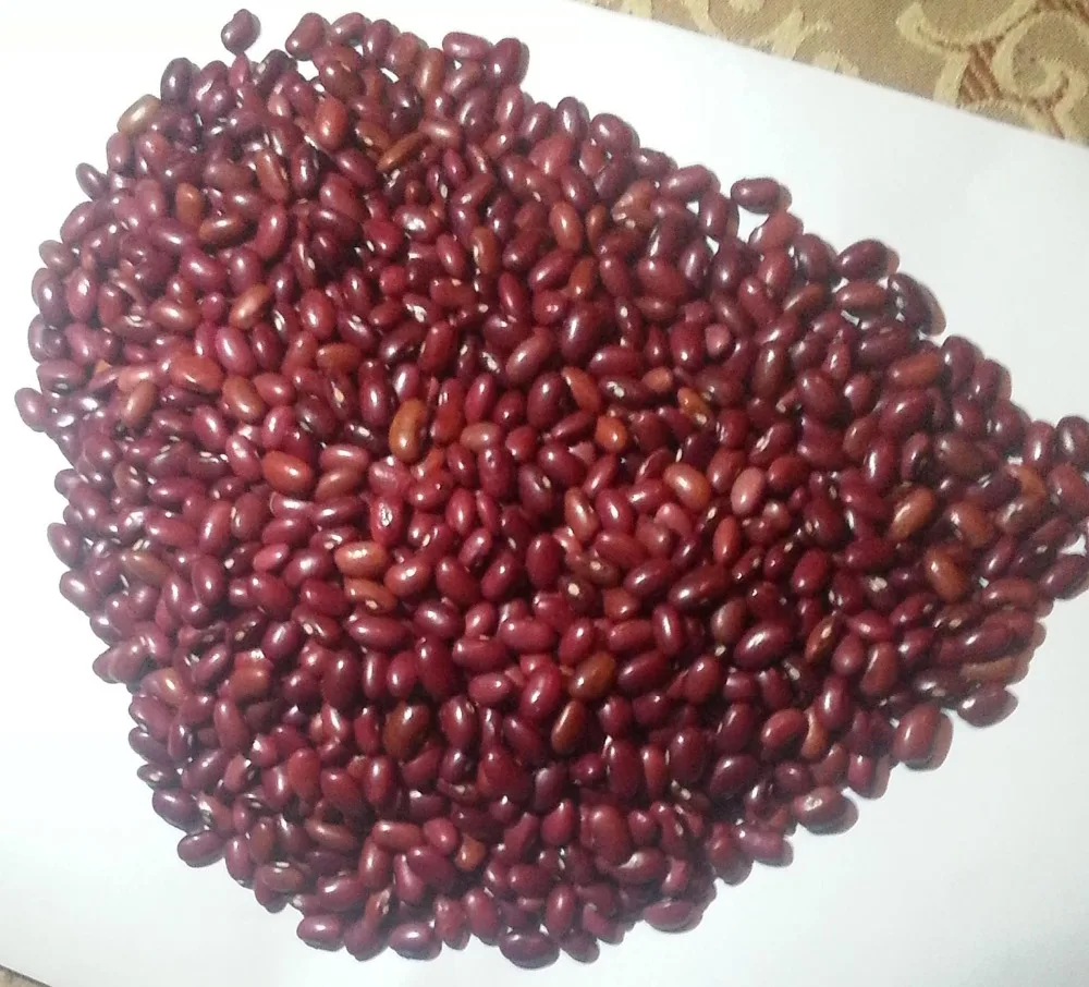 Red Kidney Beans