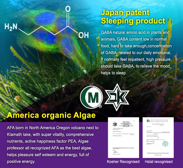 American Organic Algae Improve Life Functions Sleep Aid