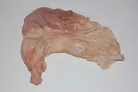 Pork Stomach
