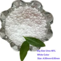 Urea 46 Plant Foods With Best