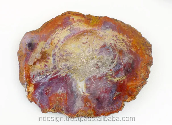 Arizona versteinertes holz Scheiben für die Dekoration oder tisch Couchtisch Versteinertes Holz ~ Arizona versteinertes holz Scheiben für die Dekoration oder tisch