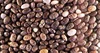 /product-detail/bulk-supplier-of-chia-seeds-171760934.html