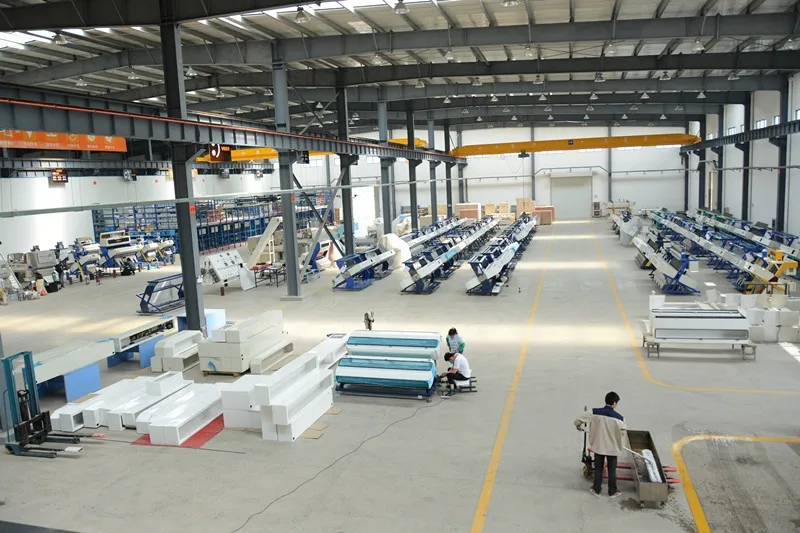 Dried Fruit Color sorter machine