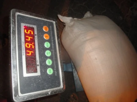 Teff Grain From South africa
