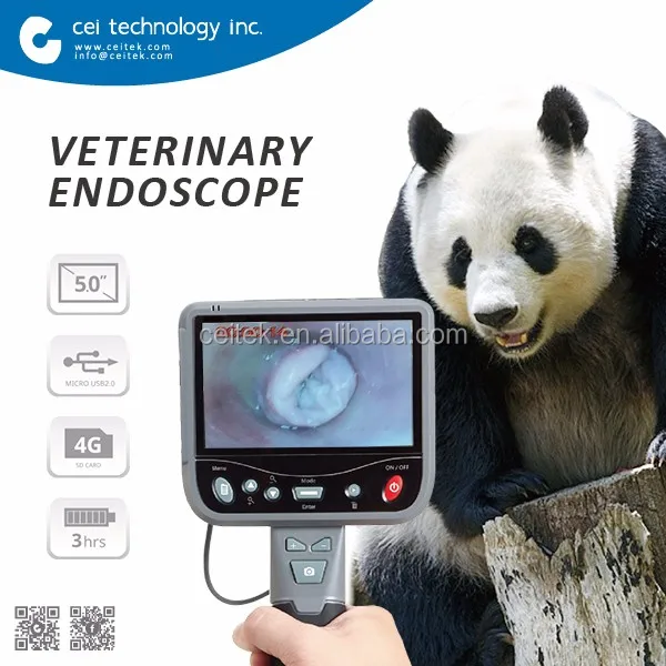 Endoscope-01