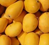 /product-detail/fresh-aphonso-mango-kesar-mango-ratnagiri-mango-fruits-juice-cocktail-50034199900.html