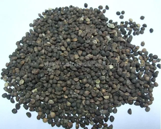 water spinach seed