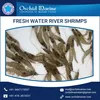 /product-detail/fresh-quality-widely-demanded-water-river-shrimps-at-attractive-price-50033483726.html