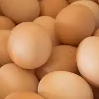 Best Quality Organic Fresh Chicken Table