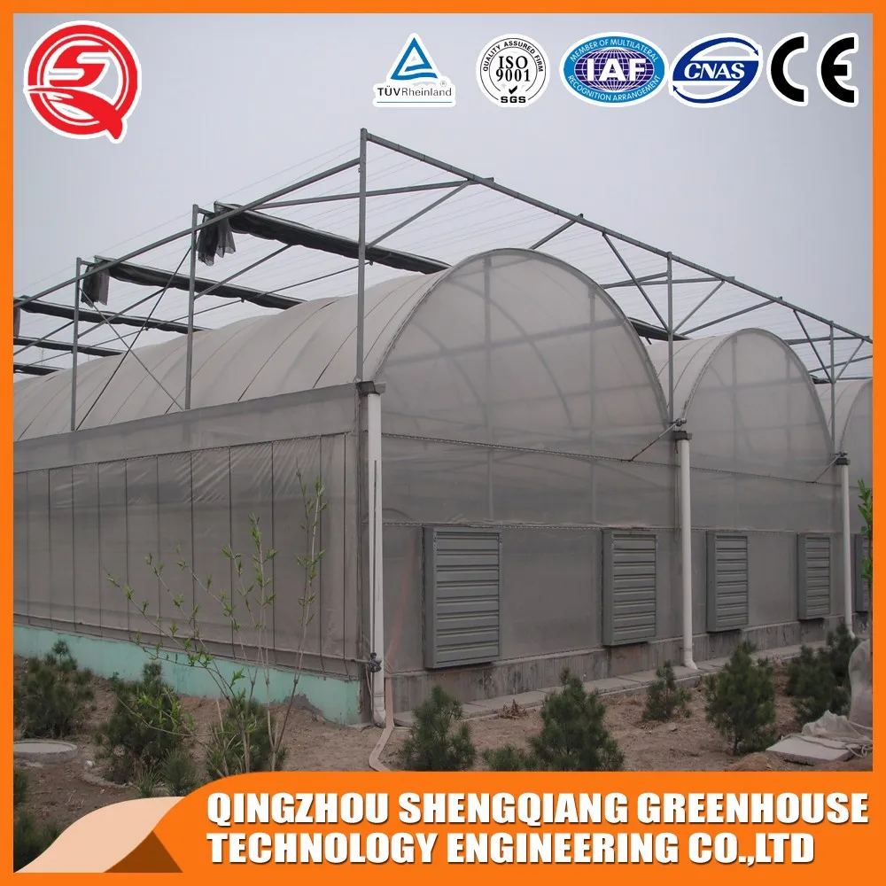 China Plastic greenhouse for plant tomato and flowers