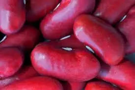 Red Kidney Beans in Bulk for sale