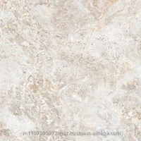 Best Quality Vietnam Wall Tiles 30x60cm