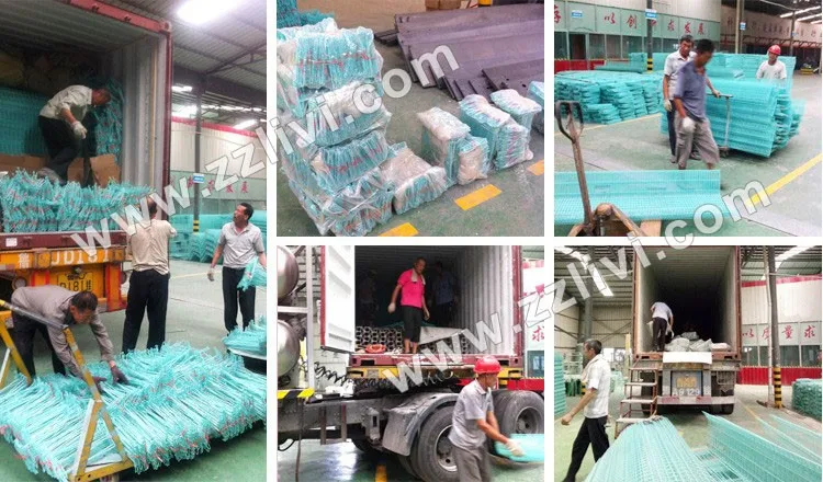 poultry layer farming equipment