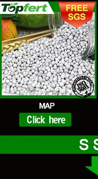 SSP_02