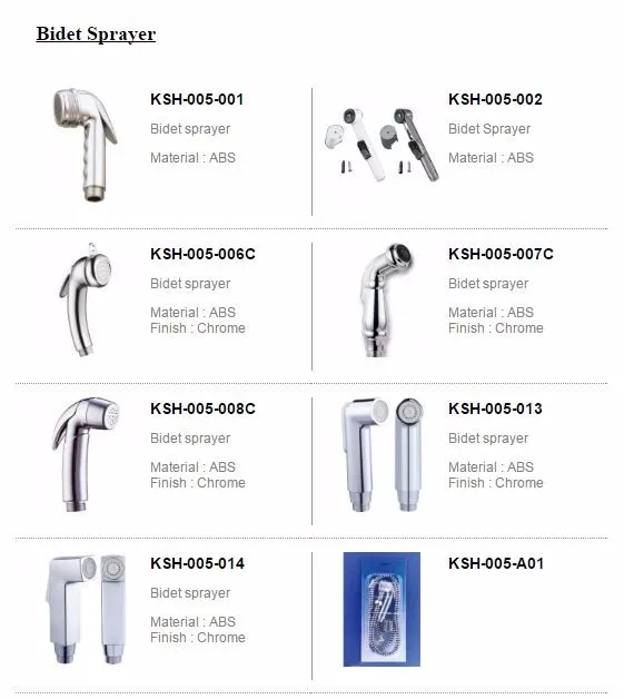 bidet spary collection.JPG