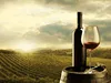 Wholesale bulk buy Australian chardonnay red wine
