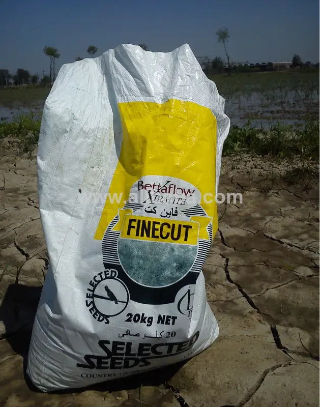 Rhodes Grass (finecut) Seed Buy Rhodes Grass Seed Product on