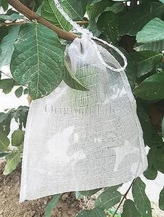 *Two-Side Rope(convenient to tip)*Fruit Bagging/PE 55 mesh(1500 mesh) Grow Bag/ Non-consumable Bagging Fruit and Vegetable / Avo