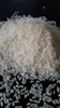 Egyptian Camolino Medium Rice ( Sales@duongvuvn.com)