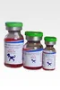 /product-detail/rabies-veterinary-vaccine-50018007819.html