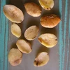 /product-detail/irvingia-gabonensis-seed-bush-mango-from-africa-62007327631.html