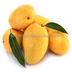 mango brand, indian mango, mango fruit export