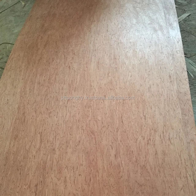 vietnam eucalyptus hardwood plywood