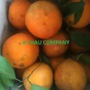 /product-detail/2018-new-arrival-a-chau-high-quality-oranges-for-bulk-sale-export-50040542428.html