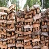 Good Quality Oak Firewood - Birch Firewood Eu Grade